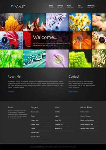 024 e1311015152389 10 Best Premium WordPress Themes in 2011