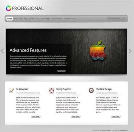 094 e1311014881617 10 Best Premium WordPress Themes in 2011