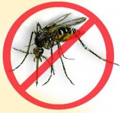 6. Once is not enough e1316448898175 10 Things You Might Not Know About the Dengue Fever   [FACTS]