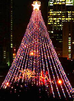 4. Austin Texas Top 10 Largest Christmas Trees in the US