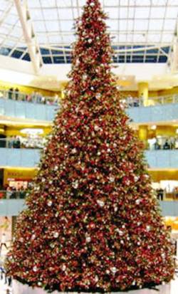 9. Dallas Texas Top 10 Largest Christmas Trees in the US