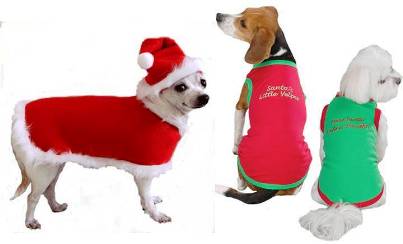 10. Clothes 10 Unique and Best Gift Ideas for Dogs