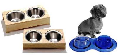 5. Special Dog Bowls 10 Unique and Best Gift Ideas for Dogs