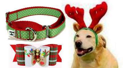 9. Accessories 10 Unique and Best Gift Ideas for Dogs