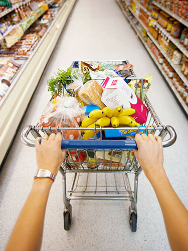 01-woman-pushing-shopping-cart-lgn