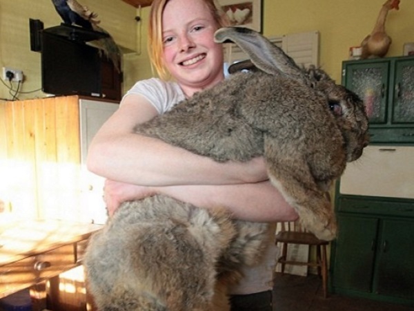 10 of the Biggest Pets Ever